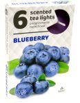 Admit Blueberry čajové vonné sviečky 6ks