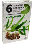 Admit Eucalyptus čajové vonné sviečky 6ks