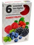 Admit Forest Fruit čajové vonné sviečky 6ks