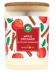 Air Wick Essential Oils Apple Orchard & Ceylon Cinnamon vonná sviečka 185g