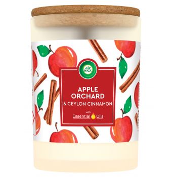 Hlavný obrázok Air Wick Essential Oils Apple Orchard & Ceylon Cinnamon vonná sviečka 185g