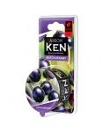 Areon Ken Black Currant blister osviežovač vzduchu 35g