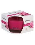 Bolsius True scents Peony vonná sviečka v skle 90x63mm 380g