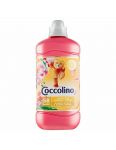 Coccolino Creations Honeysuckle & Sandalwood aviváž 1450ml 58 praní