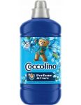 Coccolino Perfume & Care 1275ml Passion Flower & Bergamot aviváž 51 praní