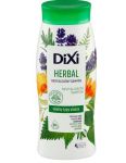 Dixi Herbal revitalizačný šampón 400ml