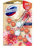 Domestos Dahlia Flower & Dragonfruit WC tuhý blok 2x55g