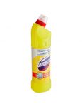 Domestos Extended Power Citrus Fresh dezinfekčný čistič 750ml