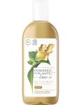 Dove Powered by Plants Ginger sprchový gél 250ml