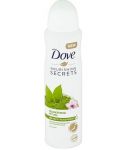 Dove Secrets Awakening Ritual Matcha anti-perspirant sprej 150ml