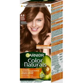 Hlavný obrázok Garnier Color Naturals Créme 4.3 Prirodzená zlatohnedá farba na vlasy