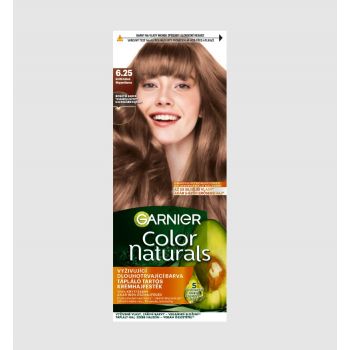 Hlavný obrázok Garnier Color Naturals Créme 6.25 Svetlá ľadová farba na vlasy