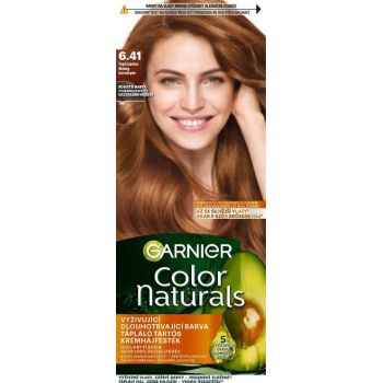 Hlavný obrázok Garnier Color Naturals Créme 6.41 Teplý jantár farba na vlasy