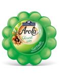 General Fresh Arola Forest gélový osviežovač 150g