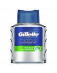 Gillette Series Cool Wave voda po holení 100ml