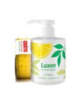 Luxon saponát Citrus s extraktom aloe 450ml