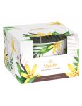 Luxury Vanilla dekoratívna sviečka v skle 115g