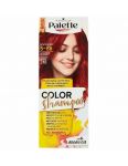 Palette Color Shampoo 5-88 Intenzivna červená 318 farba na vlasy