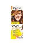 Palette Color Shampoo 7-554 Orechovo plava 317 farba na vlasy