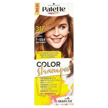 Hlavný obrázok Palette Color Shampoo 7-554 Orechovo plava 317 farba na vlasy