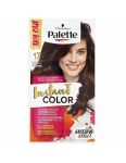 Palette Instant Color 17 Stredne hnedý 25ml