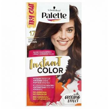 Hlavný obrázok Palette Instant Color 17 Stredne hnedý 25ml