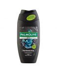 Palmolive Men Refreshing sprchový gél 250ml