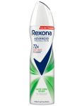 Rexona Advanced Protection 72H Aloe Vera Scent anti-perspirant sprej 150ml